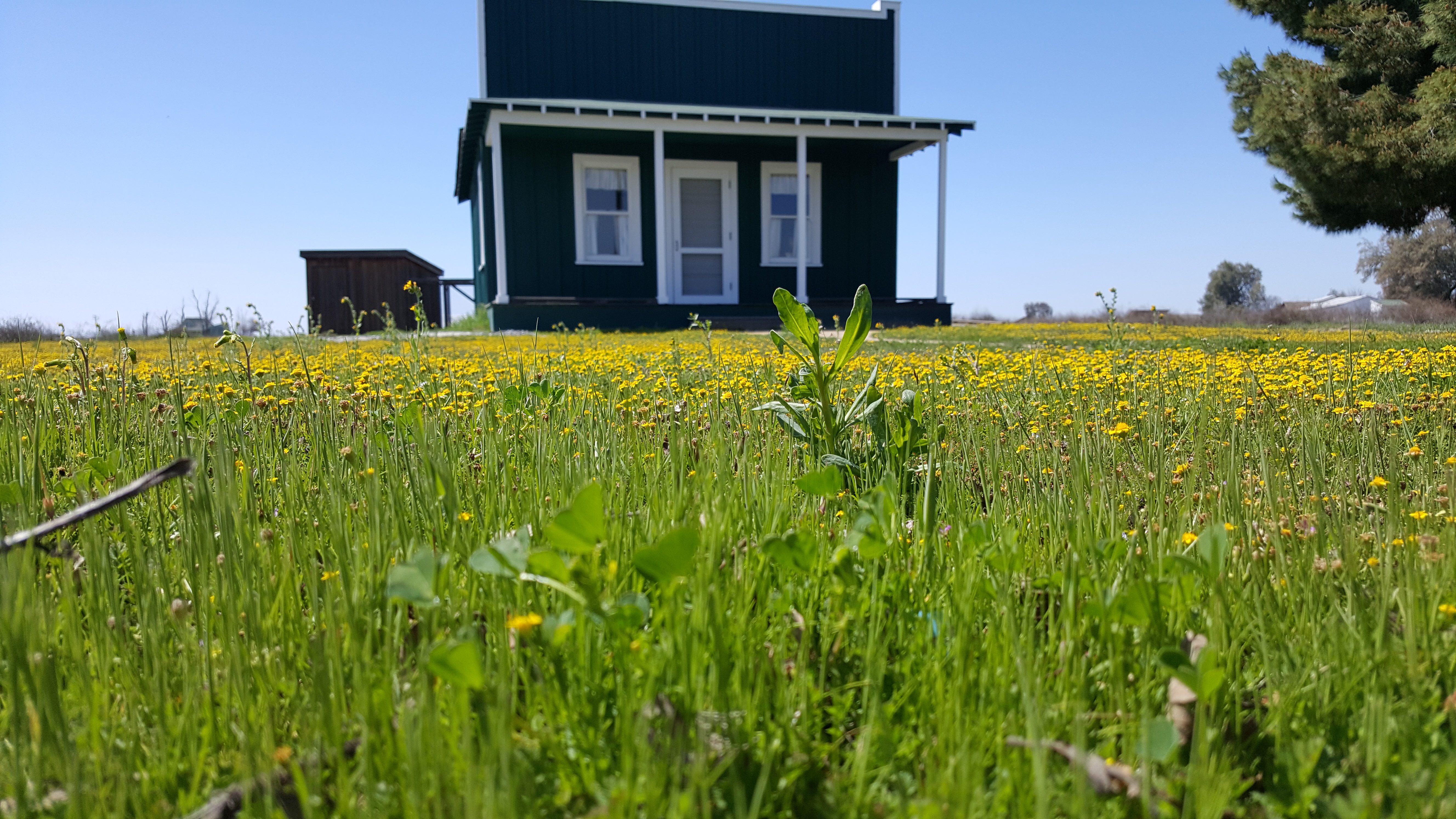 Col Allensworth